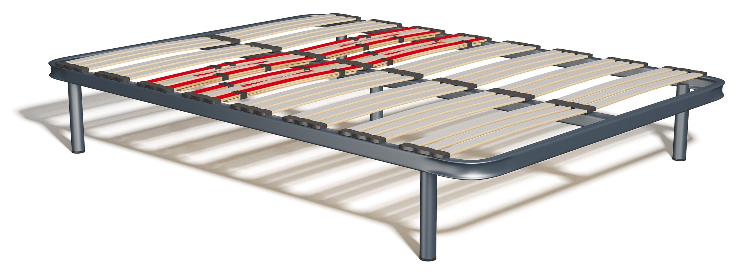 Somier-Dorsal-scaled